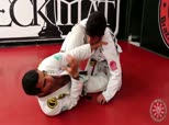 Rico Vieira Competition Techniques 6 - Black Belt Champ Techniques, Z Guard Knee Shield to Rollover Sweep or Omoplata and Butterfly Guard Concepts and Options